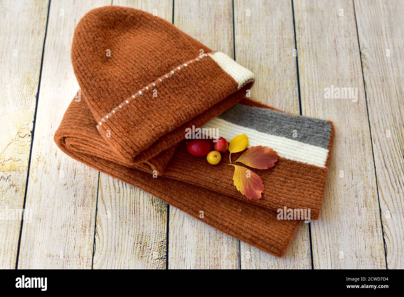 Warm gestrickter Schal und Haube zum wohligen Verweilen und Genießen An saisonalen Herbsttagen geht man in Herbstblättern Stockfoto