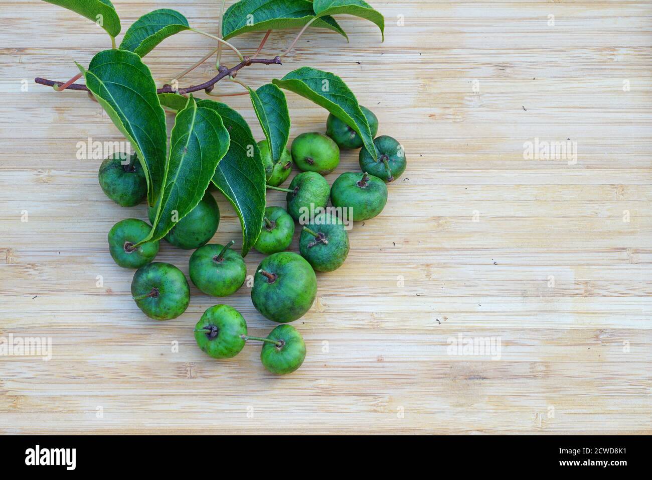 Grün Baby Kiwi Beeren 'actinidia arguta' Hintergrund Stockfoto