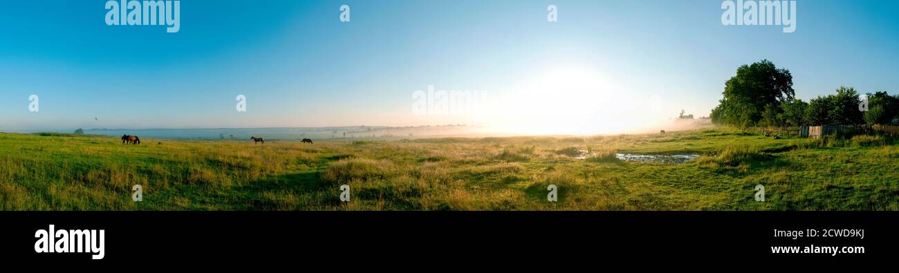 Wunderbares Panorama auf die Berge. Pferde auf einer Bergwiese. Sommer-Panorama-Landschaft in den Bergen. Ukraine, Karpaten. Schöne Natur V Stockfoto