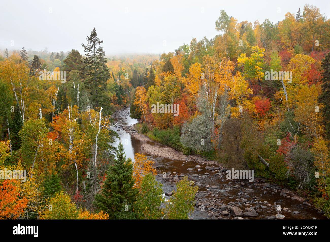 Fluss im Norden von Minnesota, umgeben von Bäumen in Herbstfarben An einem nebligen Tag Stockfoto