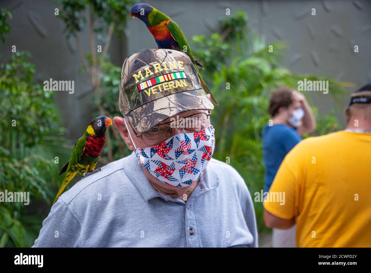 Marine Veteran Senior mit freundlichen Lorikeets bei der exotischen Vogel-Ausstellung in Busch Gardens Tampa Bay in Tampa, Florida, während der COVID Pandemie. (USA) Stockfoto