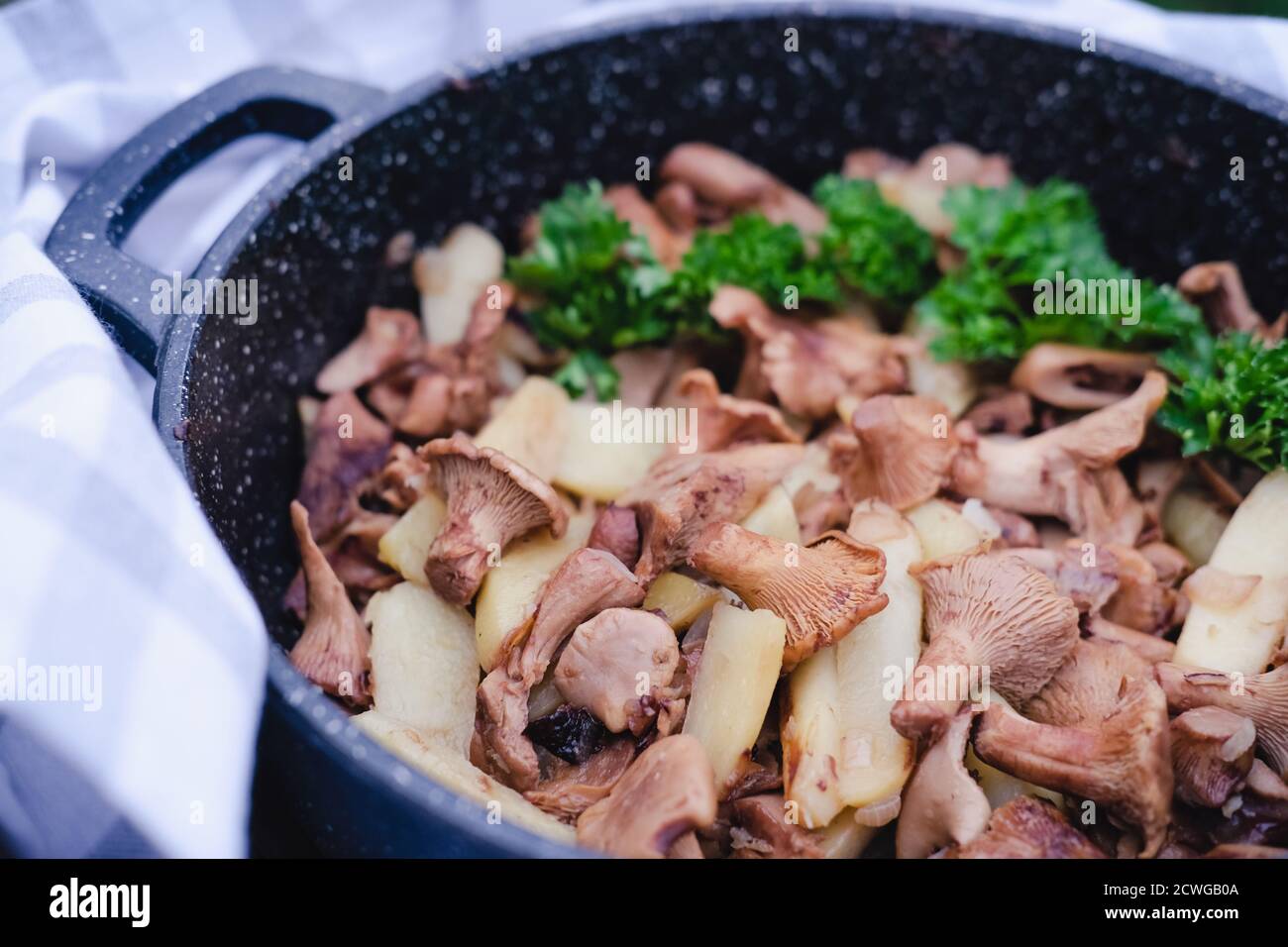 Gebratene Chanterelle oder girolle Pilze oder Cantharellus cibarius, mit Kartoffeln. Gebratener Auflauf. Sommer und Herbst saisonales Mittagessen. Nahaufnahme. Hausgemachtes Abendessen. Hausmannskost. Waldpilze. Stockfoto