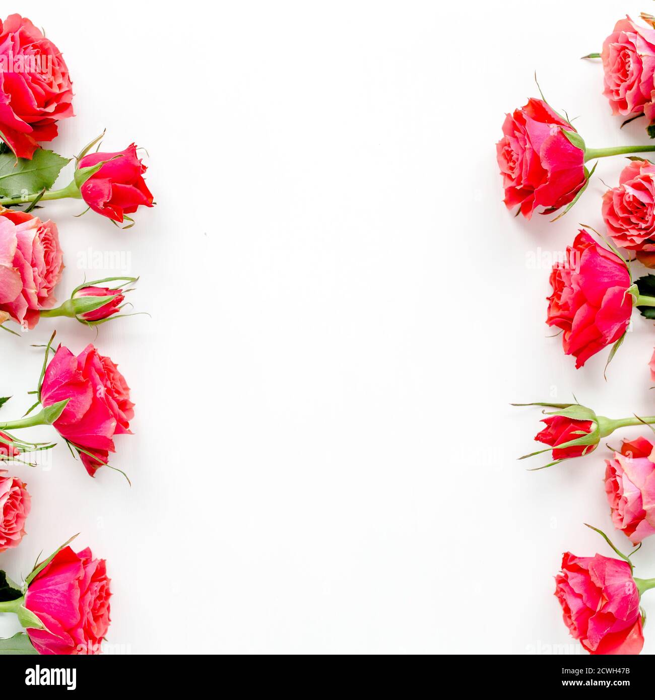Blumenrahmen aus roten Rosen auf weißem Hintergrund mit Platz für Text. Valentinstag Hintergrund. Blumenmuster. Flach liegend, Draufsicht. Stockfoto