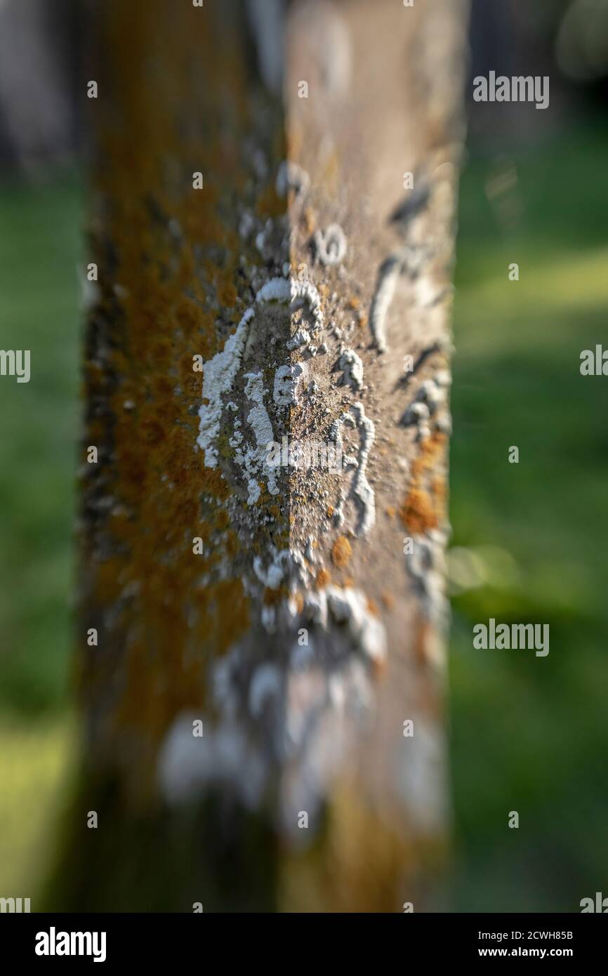 Lensbaby Bild von Grabstein St. Michael der Erzengel Kirche, Booton, Norfolk Stockfoto