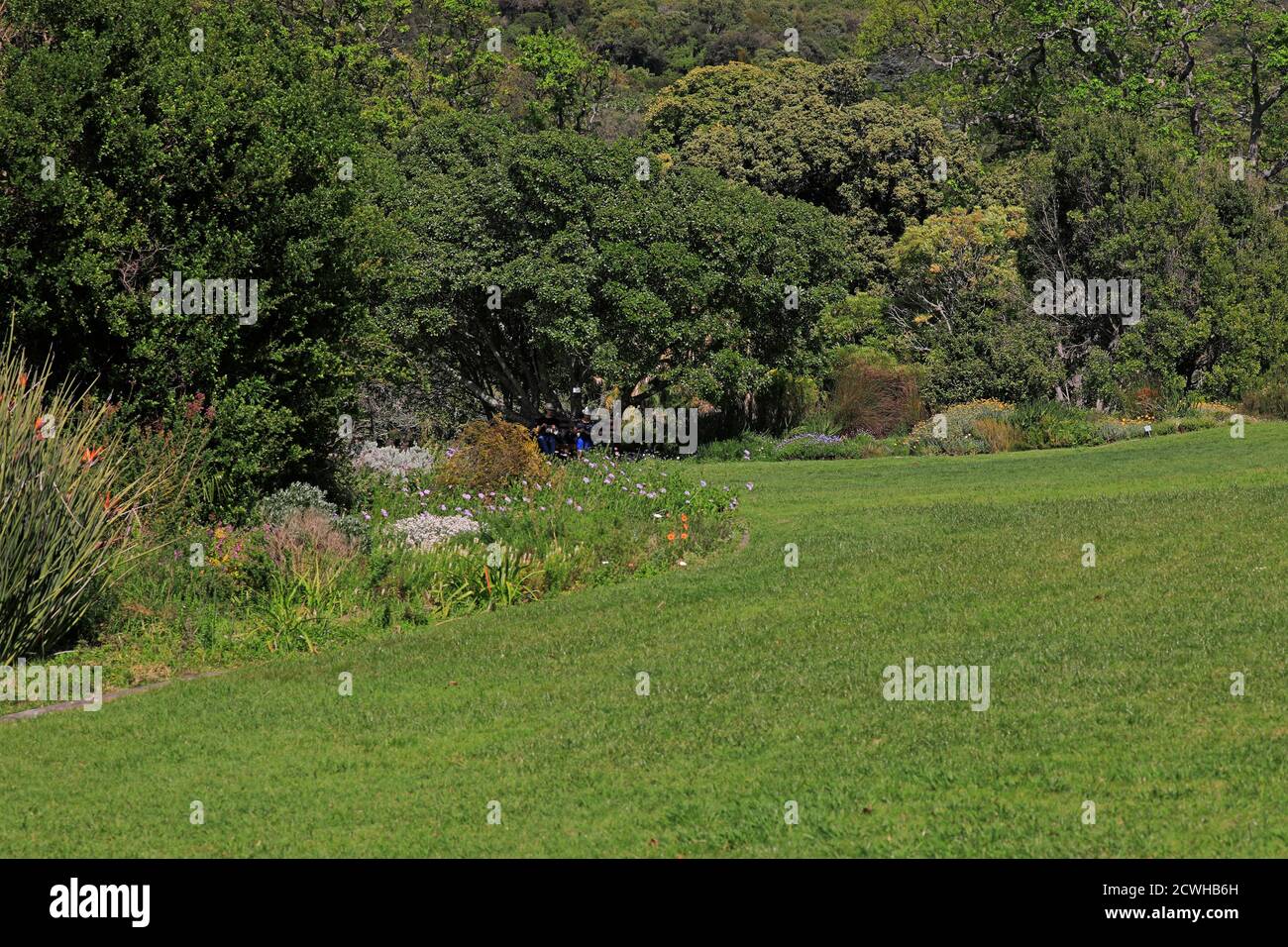 Besucher sitzen auf einer Bank in Kirstenbosch National Botanical Gardens, Kapstadt, Südafrika. Stockfoto