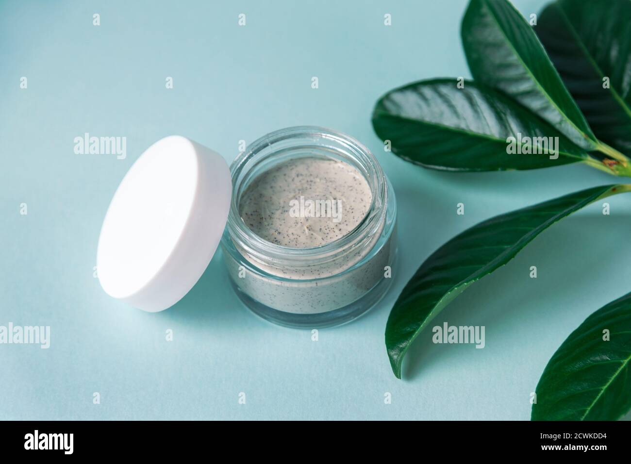 Natürliche handgemachte kosmetische Creme Glas mit grünen Blättern, hellblauer Hintergrund. Bio-Bio-Kosmetik. Draufsicht. Stockfoto