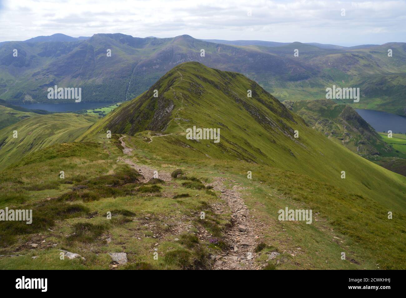 Ridge Path zum Wainwright 'Whiteless Pike' über Thirdgill Head man & Saddle Gate von 'Wandope' im Lake District National Park, Cumbria. VEREINIGTES KÖNIGREICH. Stockfoto