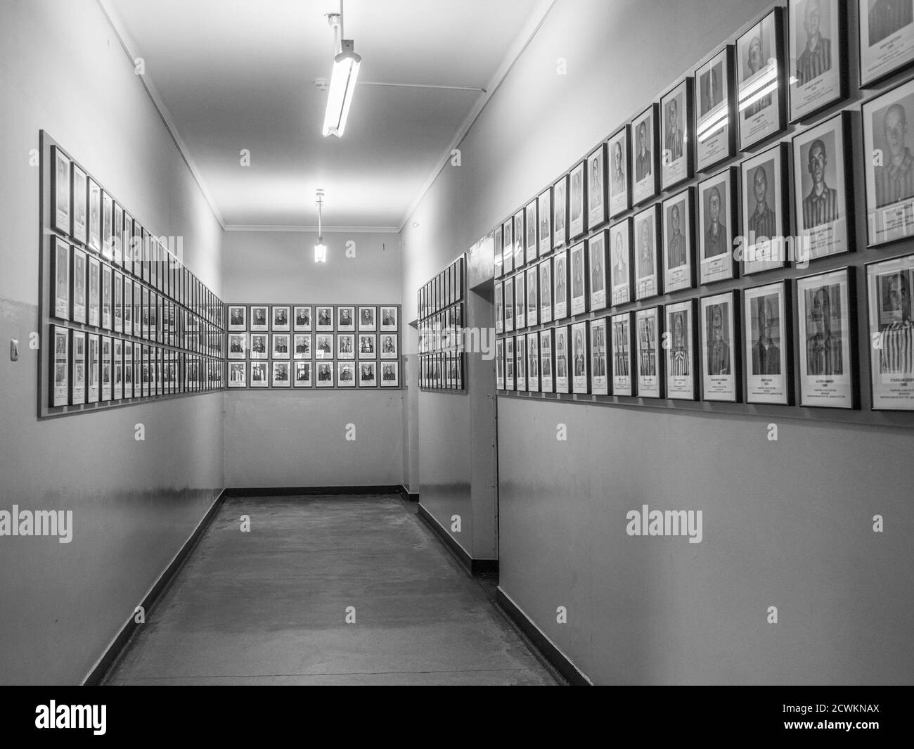Auschwitz, Oświęcim, Polen - Juni 05, 2019: Fotogalerie von Portrait von Gefangenen in Auschwitz-Birkenau State Museum. Auschwitz Birkenau ns-Konz Stockfoto