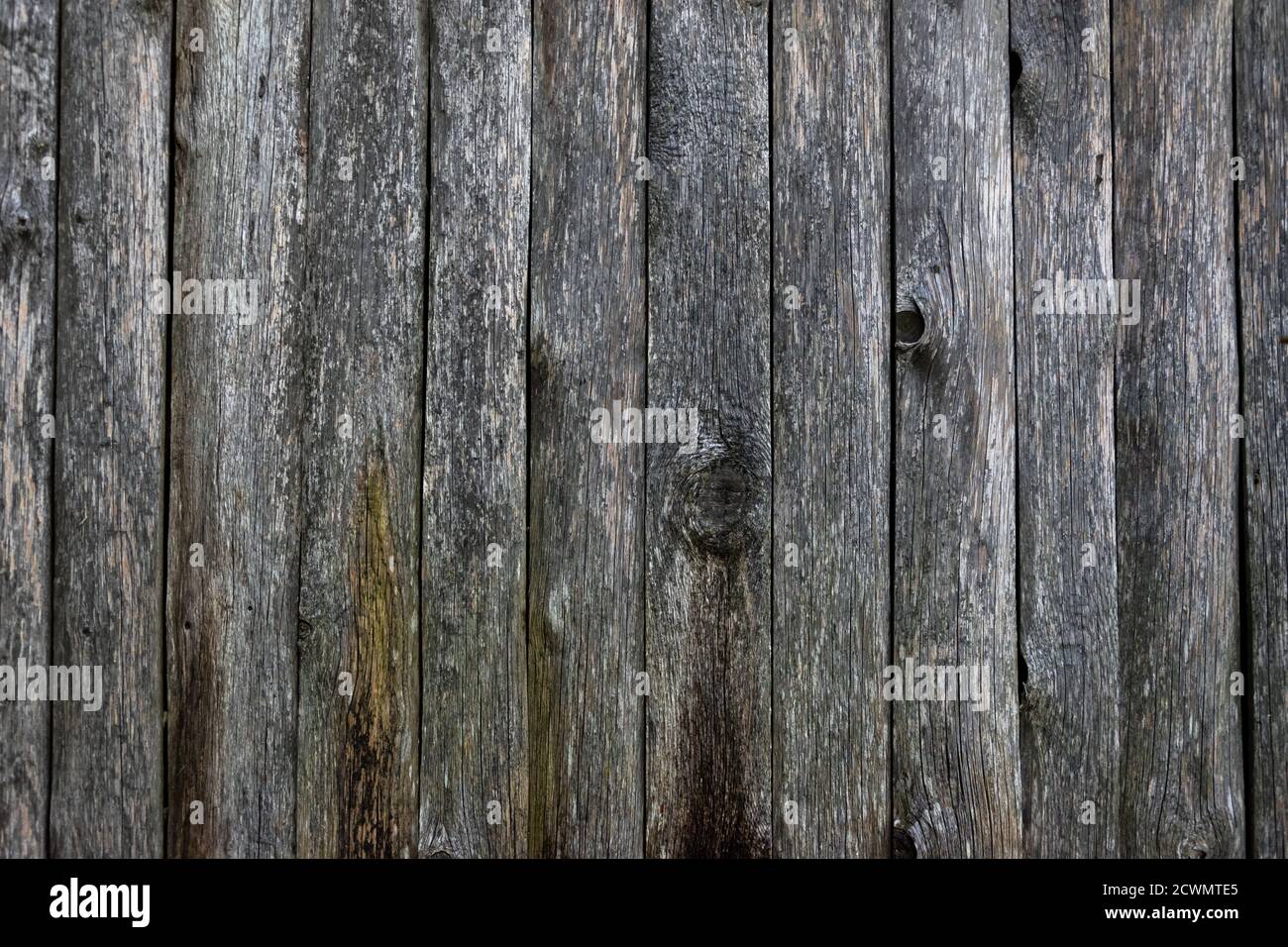 Nahaufnahme der grauen Farbe natürlichen alten Holz Textur Hintergrund. Stockfoto