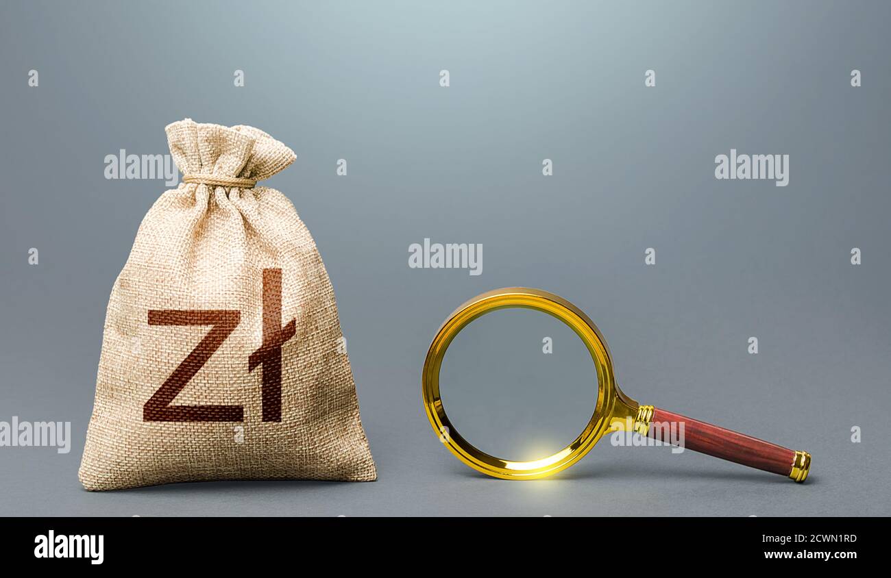 Polnischer Zloty Geldbeutel und Lupe. Günstigste Bedingungen für Einlagen, Kredite. Finanzprüfung. Suche nach Finanzierungsbegünstigten. Original Stockfoto