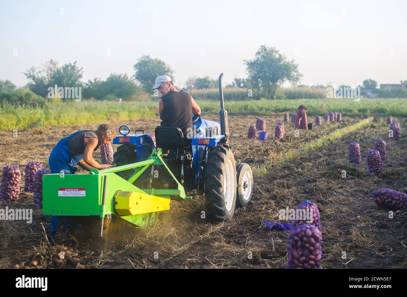 CHERSON OBLAST, UKRAINE - 19. September 2020: Die Landarbeiter auf einem Traktor graben Kartoffeln aus. Kampagne zur Kartoffelernte. Landwirtschaft und Landwirtschaft. Sorti Stockfoto