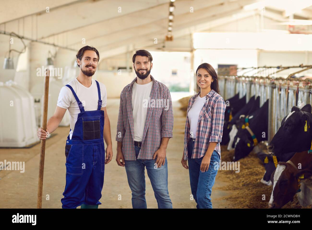 Glückliche Arbeiter, die nach dem Füttern der Kühe auf die Kamera schauten und lächelten Und Reinigung Kuhstall auf Milchviehbetrieb Stockfoto