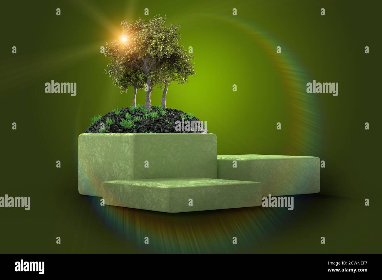 Grüne Bäume auf Sockel mit leeren Plätzen für Ihr Produkt, natürliche und ökologische Lebensstilkonzept, Gartenarbeit in reiner, gesunder Umwelt 3d illus Stockfoto
