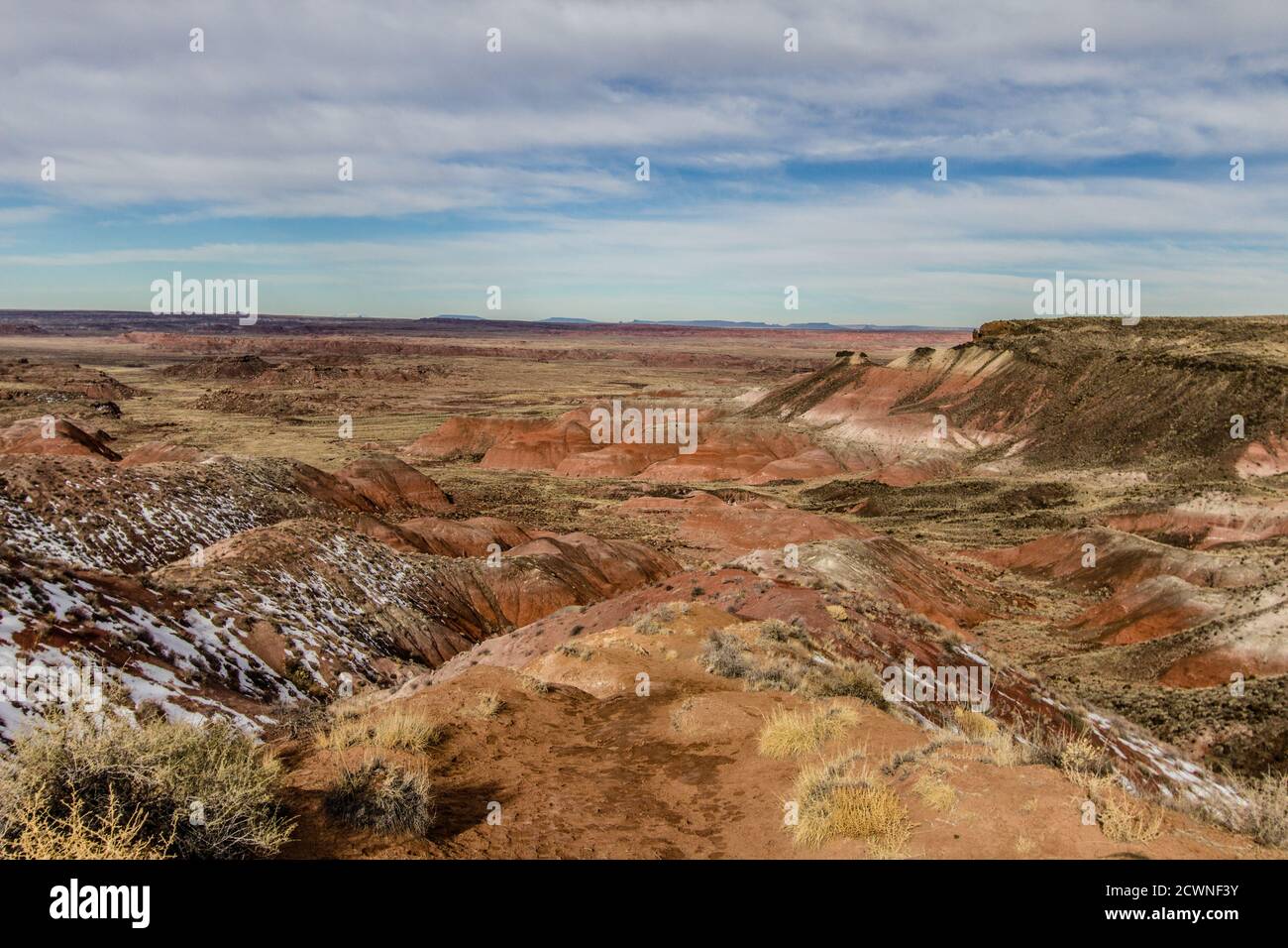 Painted Desert Petrified Forest National Park Blick auf eine zerklüftete Wüstenlandschaft in Holbrook, Arizona. Stockfoto