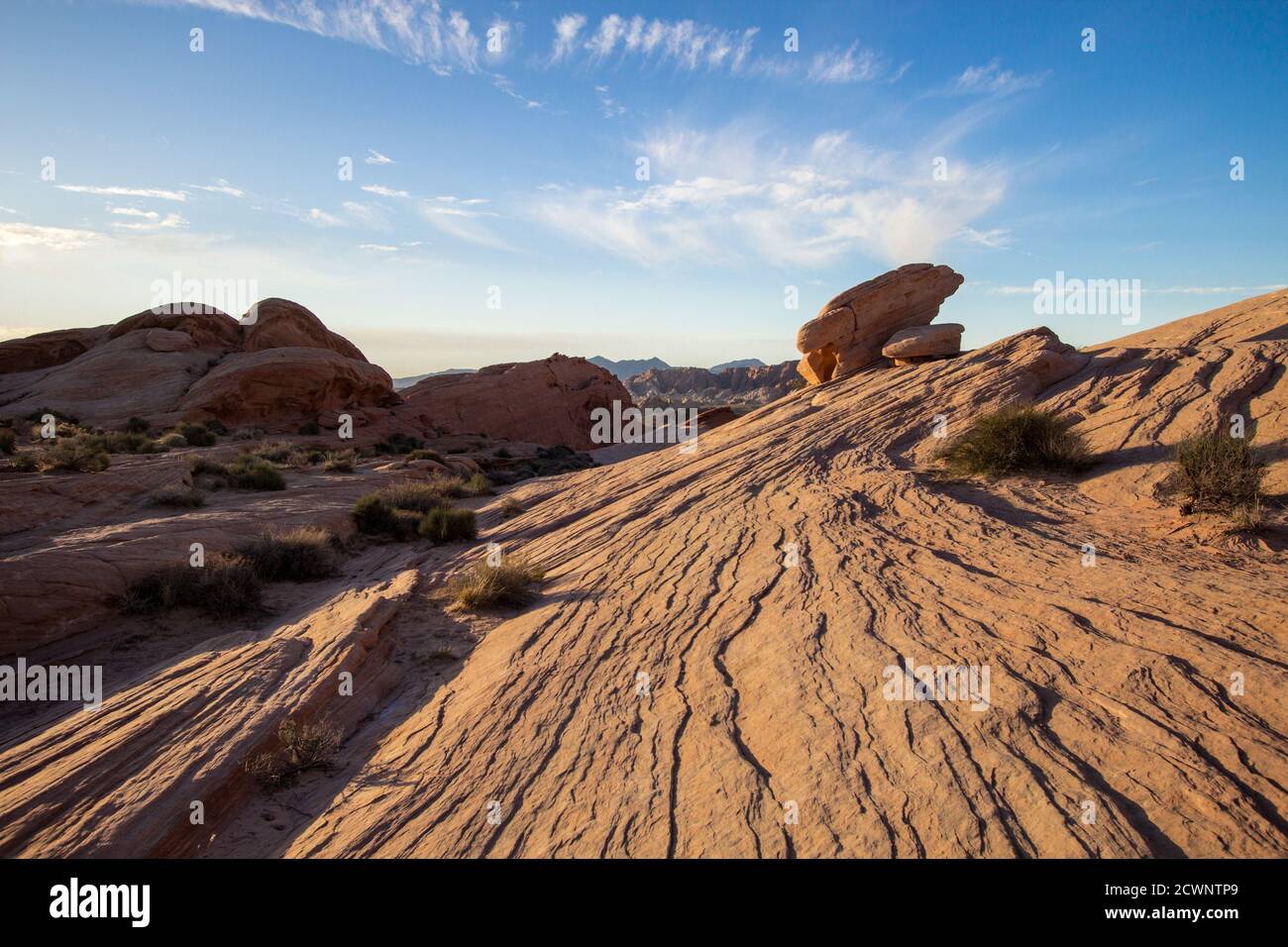 Nevada Desert Landscape. Wüstenlandschaft im Valley of Fire State Park, etwa eine Stunde von Las Vegas, Nevada entfernt. Stockfoto