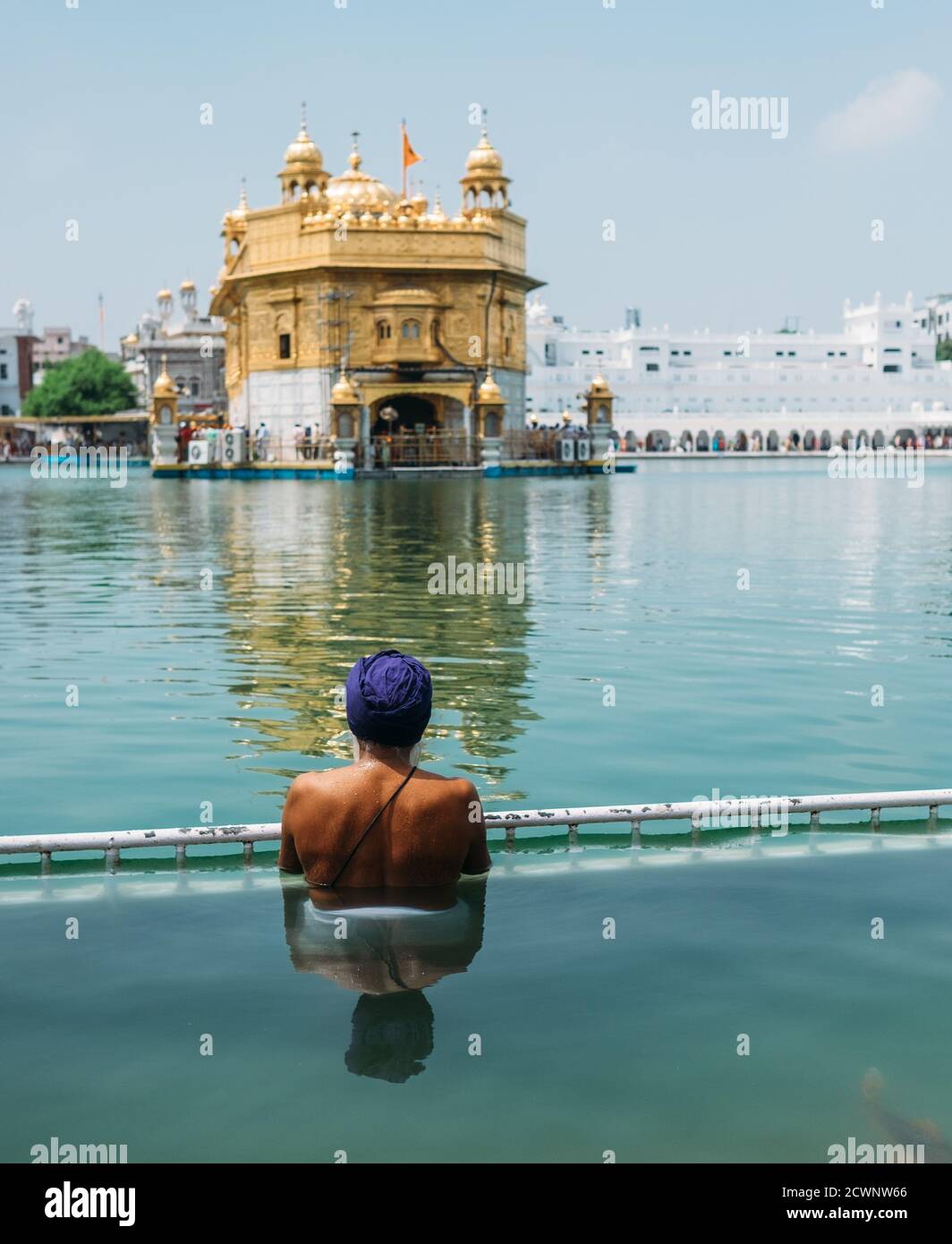 Sikh Pilger beten in heiligen Tank in der Nähe Golden Temple (Sri Harmandir Sahib), Amritsar, INDIEN Stockfoto