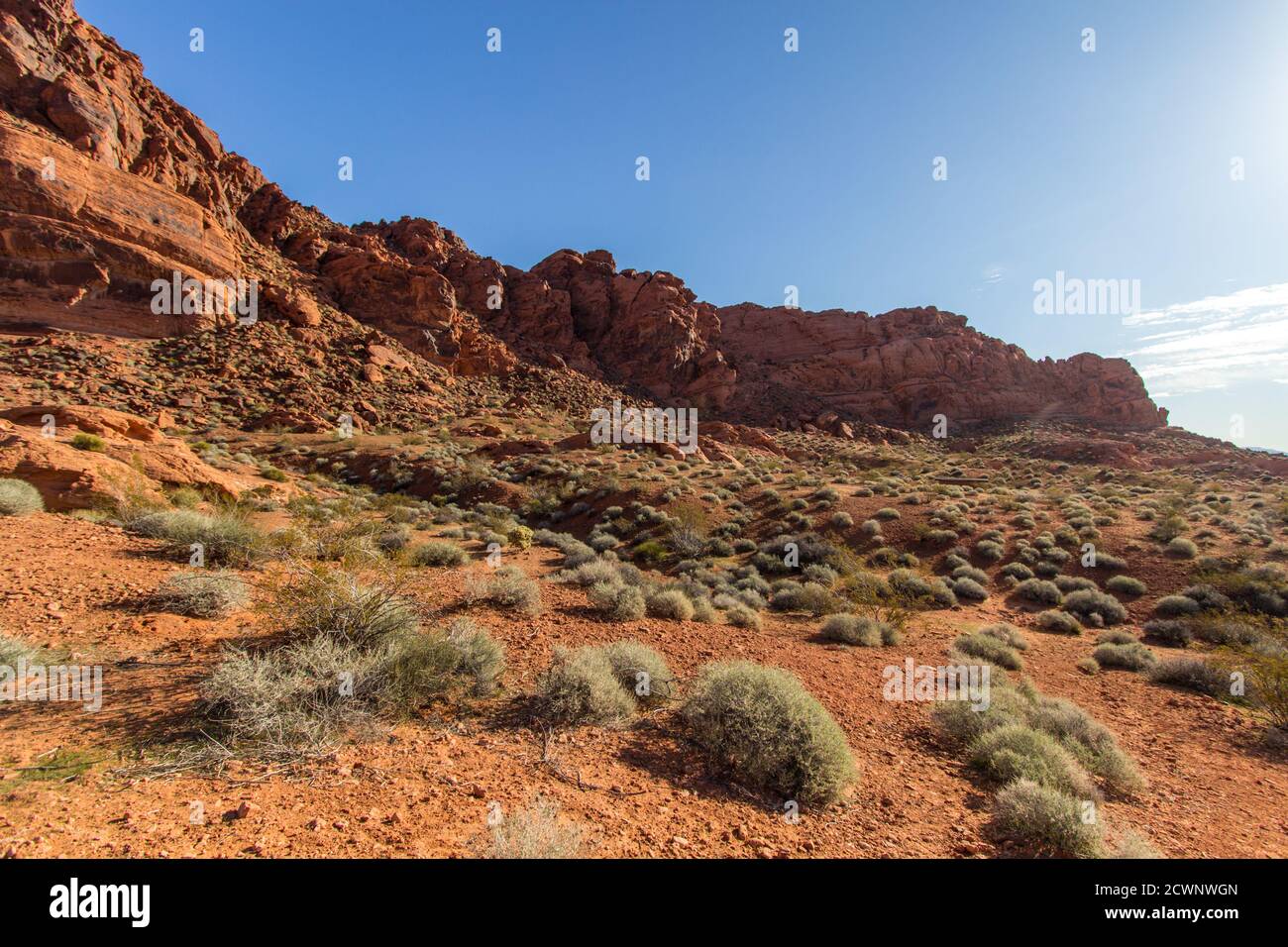 Zerklüftete Wüstenlandschaft. Wunderschöne wilde Wüstenlandschaft im Valley of Fire State Park in Nevada. Stockfoto