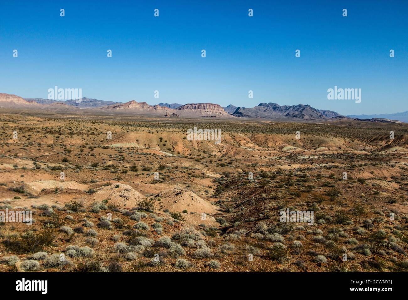 Hintergrund Der Arizona-Wüste. Riesige karge Wüstenlandschaft im Südwesten von Arizona. Stockfoto