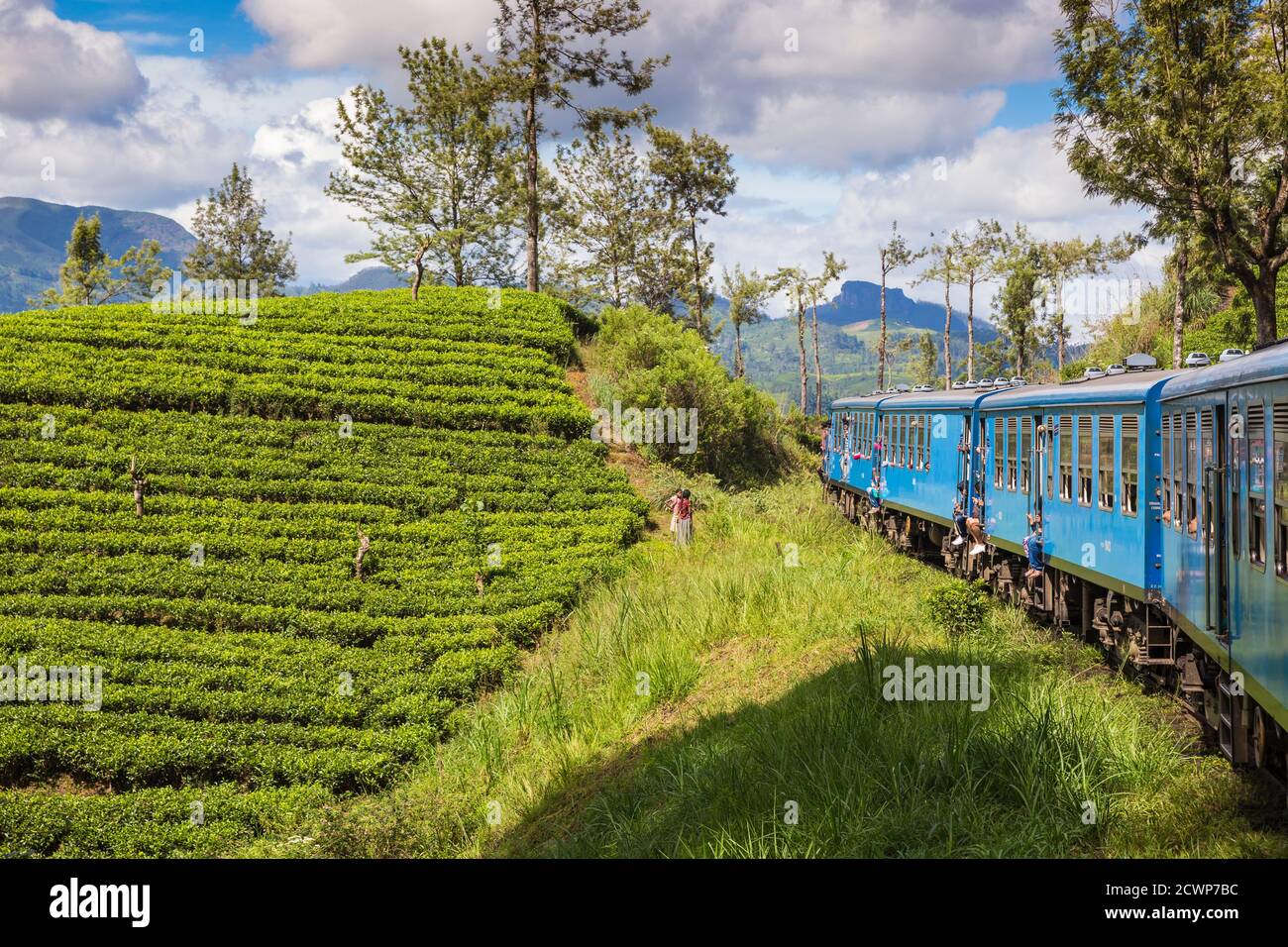 Sri Lanka, Nuwara Eliya, Kandy nach Badulla Zug neben Tee Anwesen Stockfoto