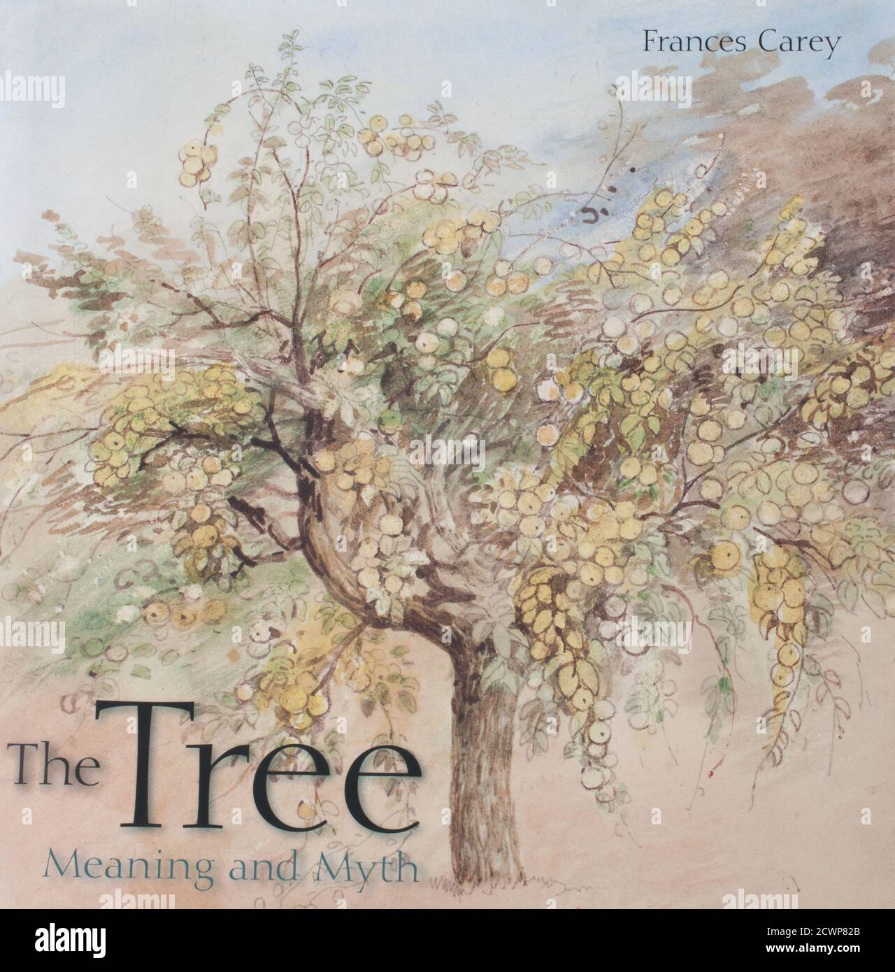 Das Buch. Baum Bedeutung und Mythos von Frances Carey Stockfoto