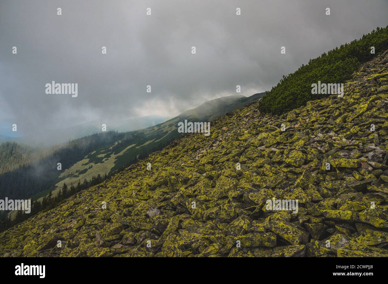 Grüne moosige Bergsteine Stockfoto