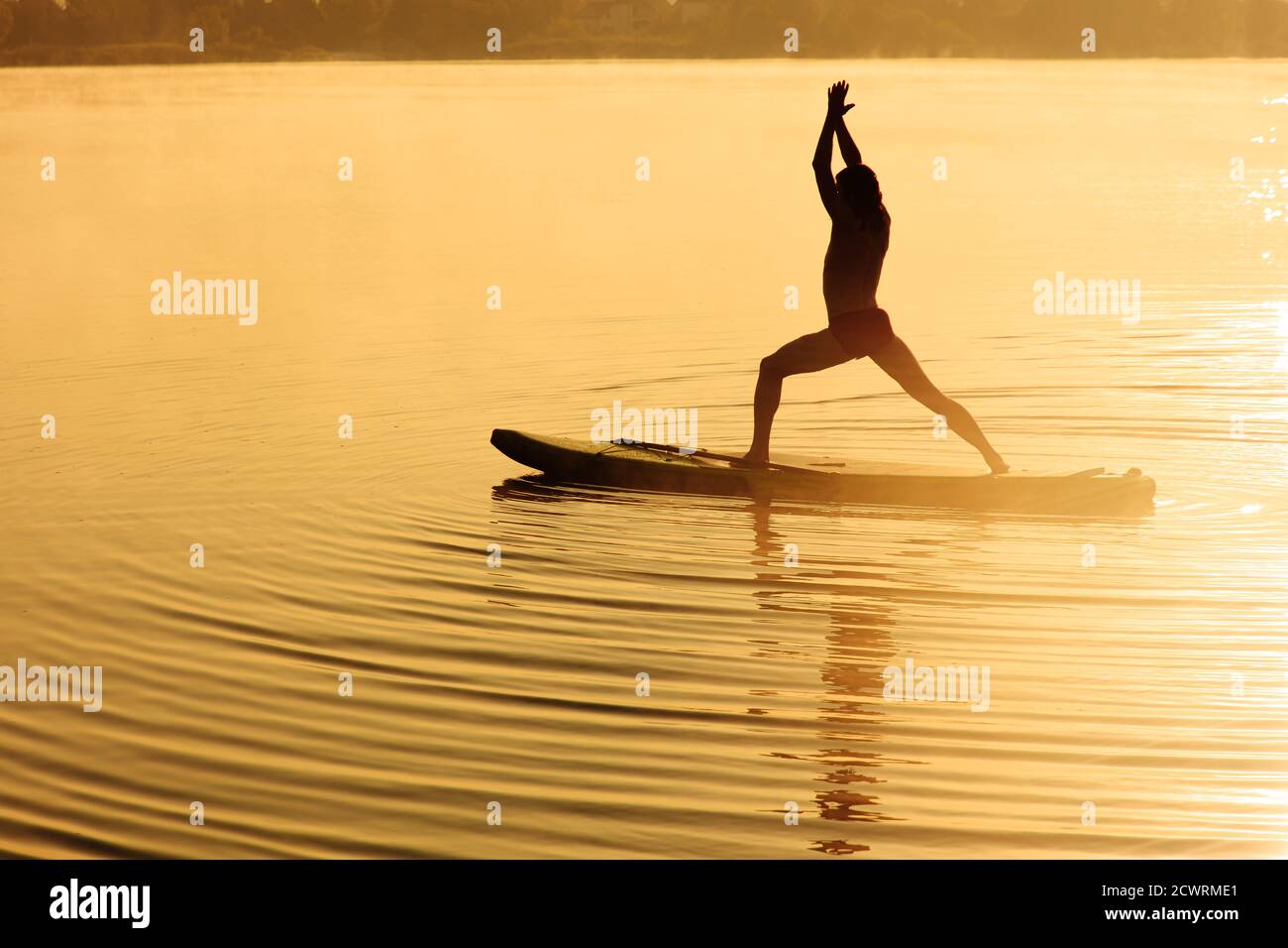Fröhlicher Sportler, der Yoga-Übungen auf dem Brett macht Stockfoto