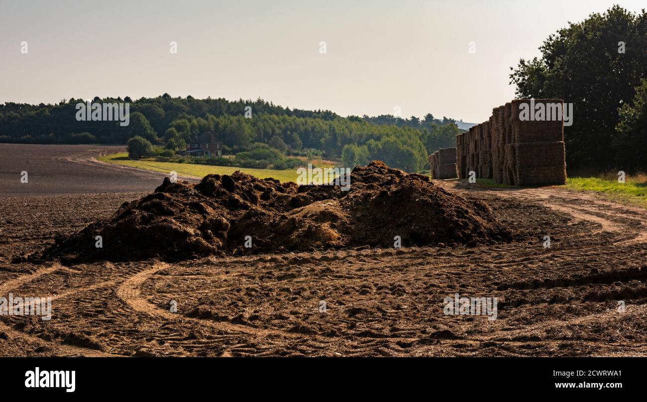 Stapel von Dünger in einem Bauernfeld England, Großbritannien Stockfoto