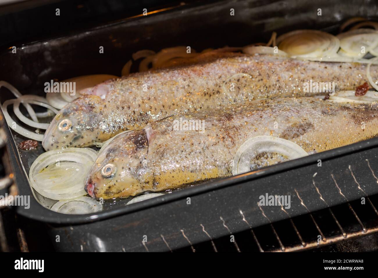 Zwei rohe Forellen gefüllt mit Kräutern, Zwiebeln und Rosinen liegen in der Pfanne Stockfoto