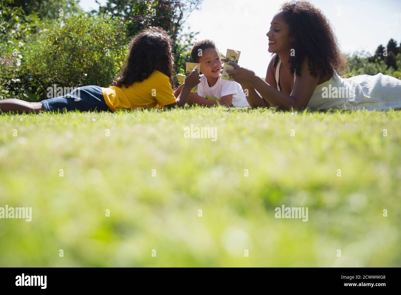 Glückliche Mutter und Kinder trinken Saftboxen im sonnigen Sommer Gras Stockfoto