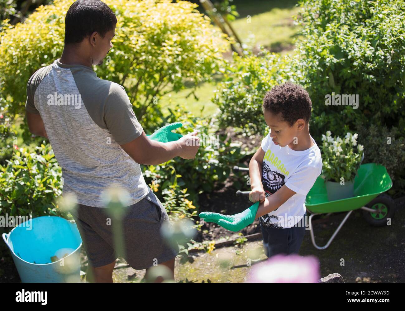 Vater und Sohn arbeiten mit Handschuhen im sonnigen Sommerhof Stockfoto