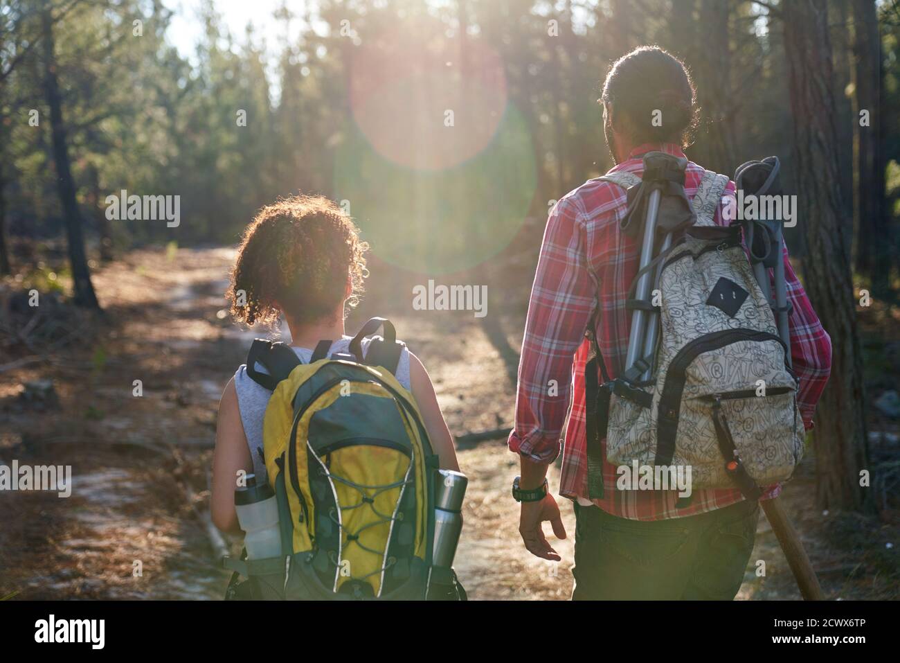 Junges Paar mit Rucksäcken Wandern in sonnigen Sommerwäldern Stockfoto