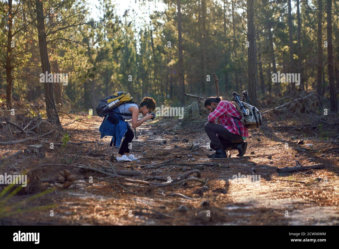 Junge Wanderpaar mit Kamera im Wald Stockfoto