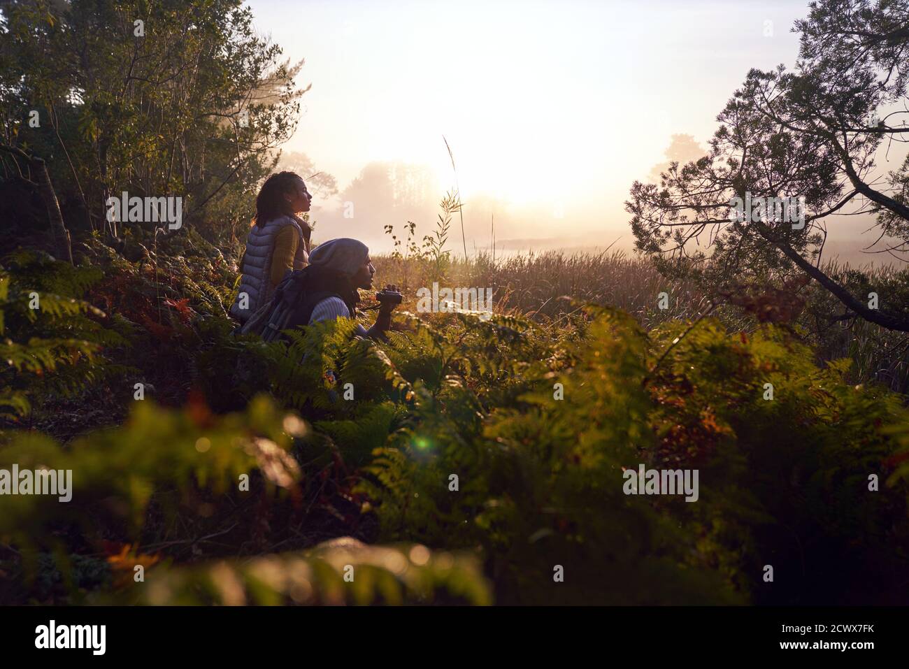 Ruhiges junges Paar mit Fernglas in der Natur bei Sonnenuntergang Stockfoto