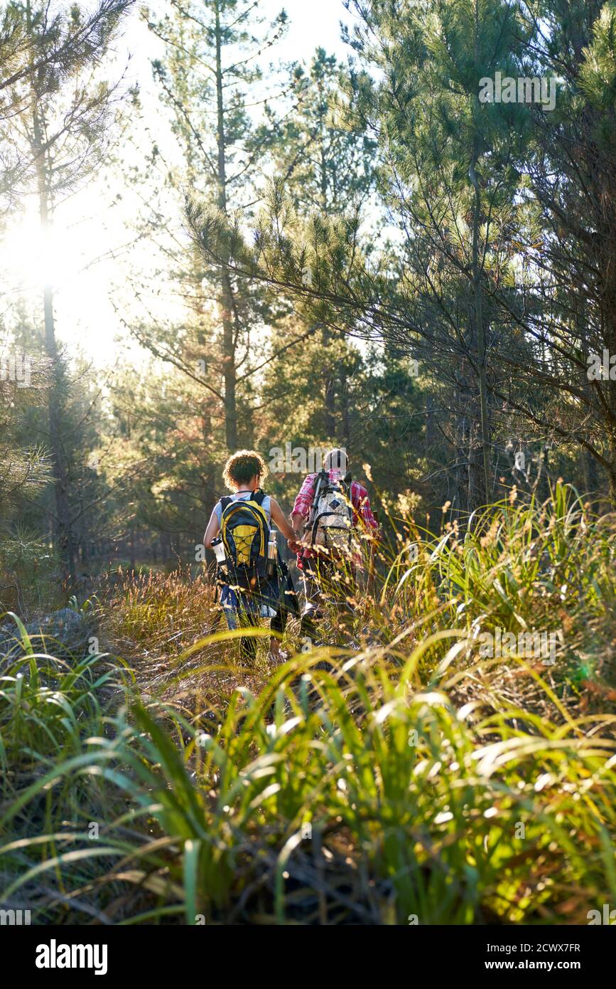 Junges Paar mit Rucksäcken Wandern im hohen Gras in sonnigen Hölzer Stockfoto