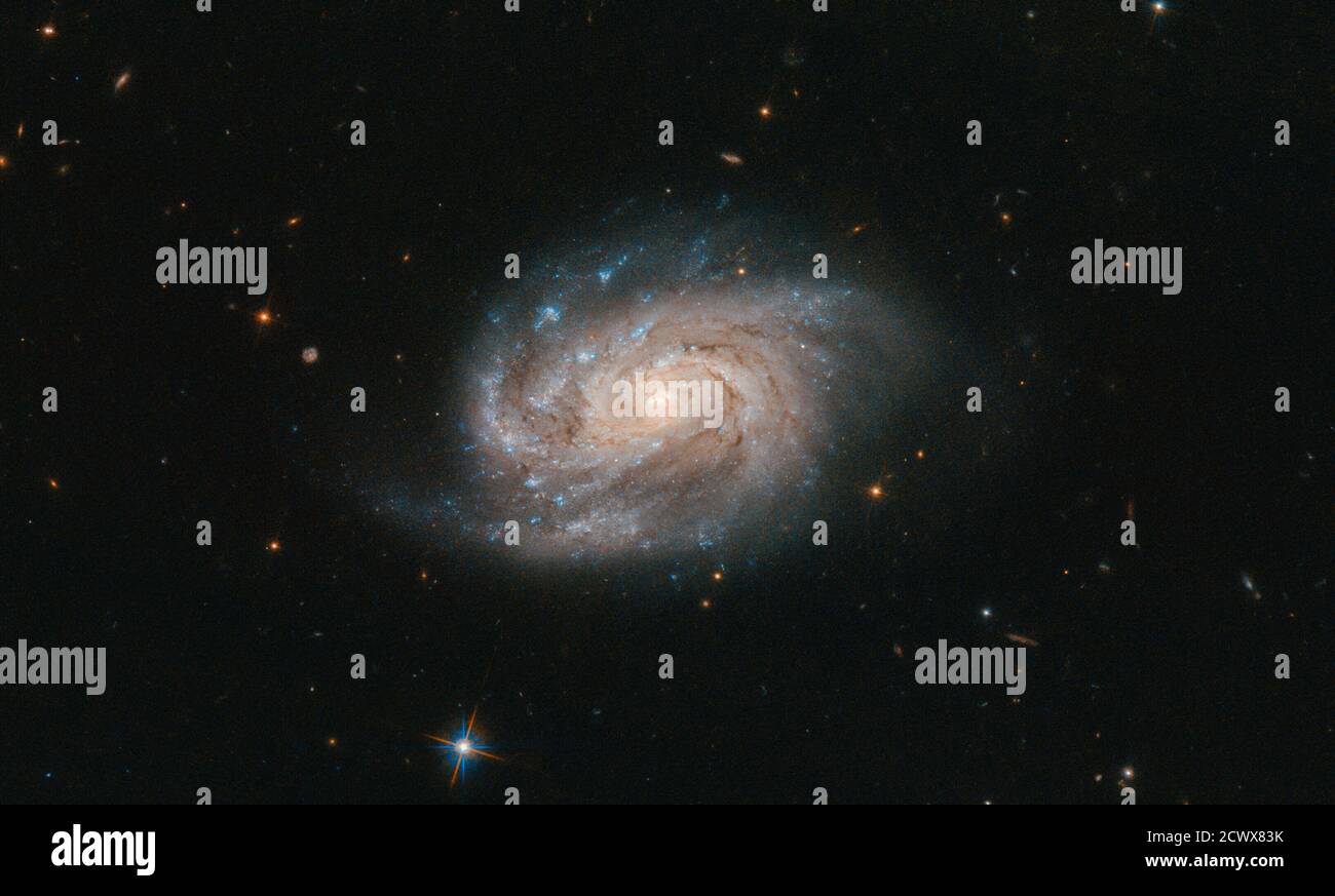 Hubble Views Galaxy from Famous Catalogue Dieses helle, etwas Blob-ähnliche Objekt - gesehen in diesem Bild vom NASA/ESA Hubble Weltraumteleskop - ist eine Galaxie namens NGC 1803. Sie ist etwa 200 Millionen Lichtjahre entfernt, im südlichen Sternbild Pictor (der Easel des Malers). NGC 1803 wurde 1834 vom Astronomen John Herschel entdeckt. Herschel ist ein großer Name in der Astronomie; John, sein Vater William und seine Tante Caroline alle gemacht große Beiträge auf dem Gebiet, und ihre Vermächtnisse bleiben heute. William systematisch katalogisierte viele der Objekte, die er in den Nachthimmel, nannte viele Monde i Stockfoto