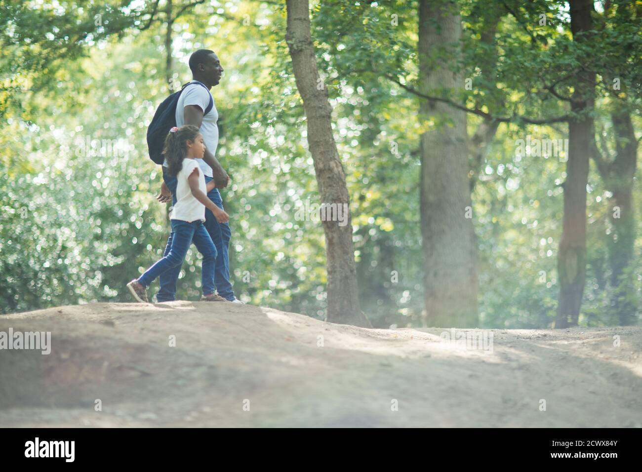 Vater und Tochter halten die Hände beim Wandern in sonnigen Sommerwäldern Stockfoto