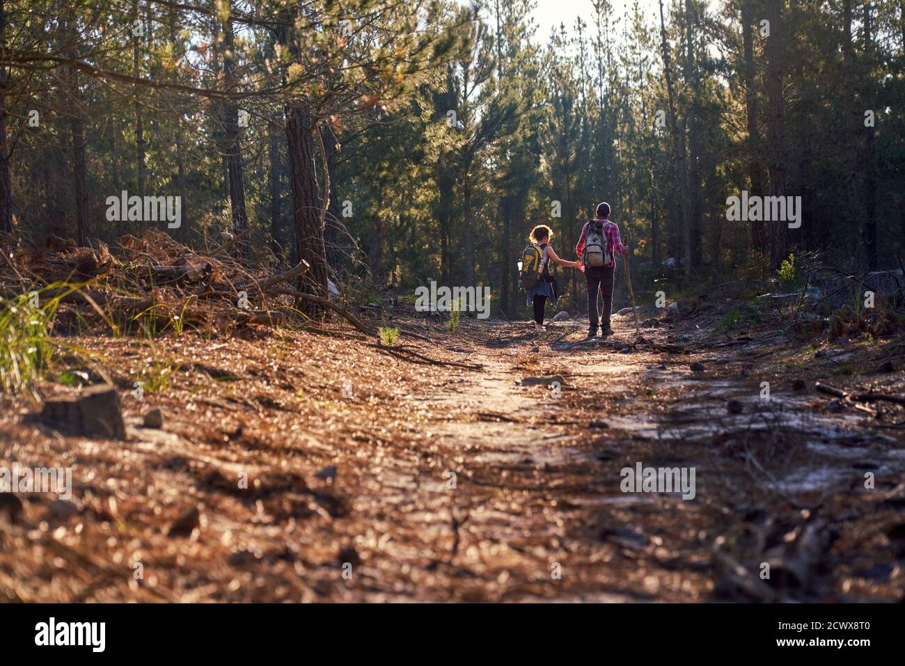 Junges Paar mit Rucksack wandern im sonnigen Wald Stockfoto