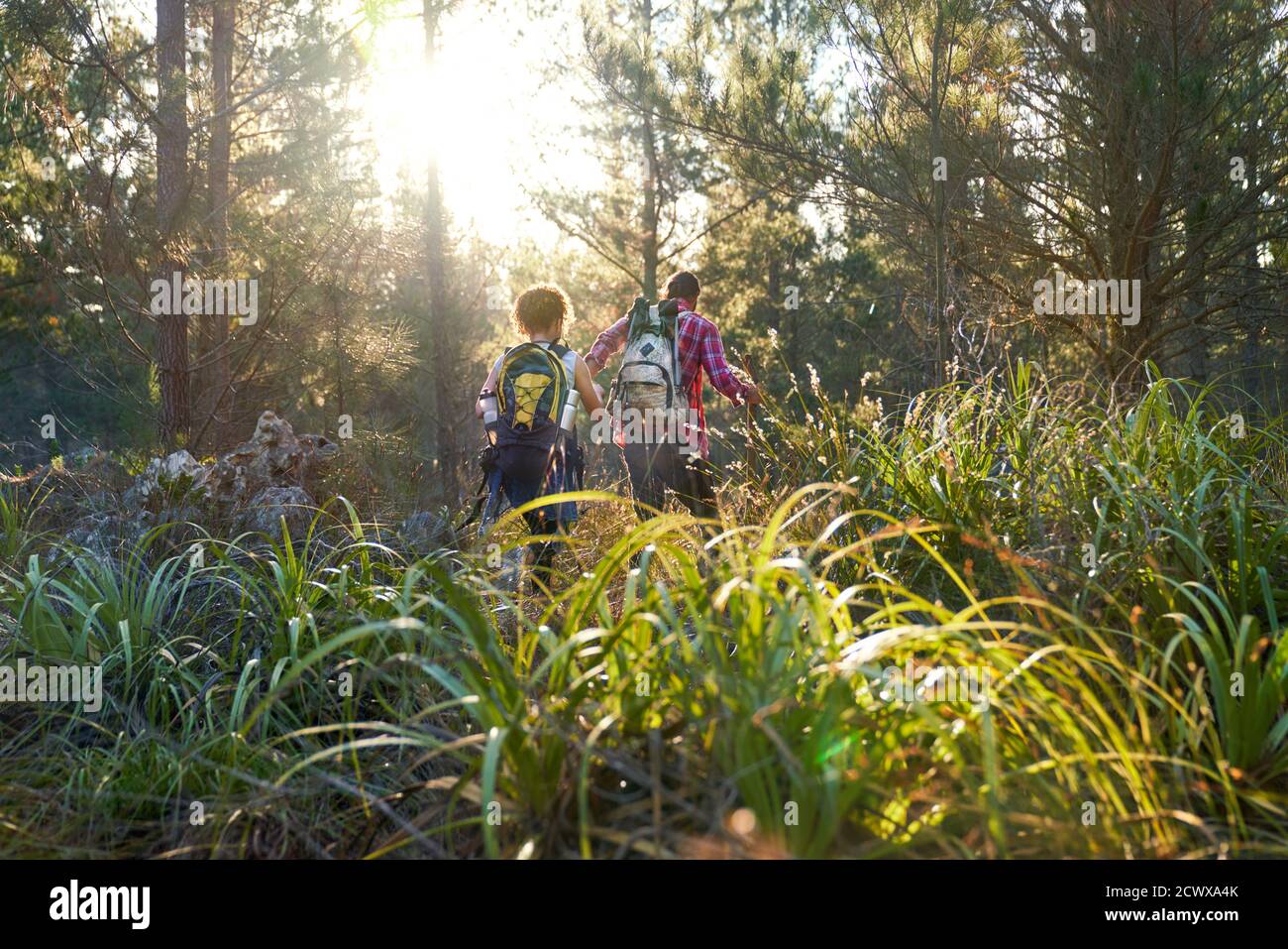 Junges Paar mit Rucksäcken wandern in sonnigen hohen Gras in Hölzer Stockfoto