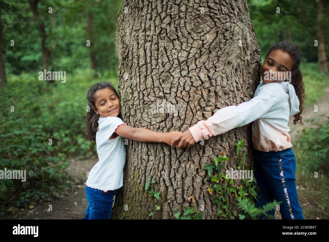 Heitere Schwestern umarmen Baumstamm in Wäldern Stockfoto