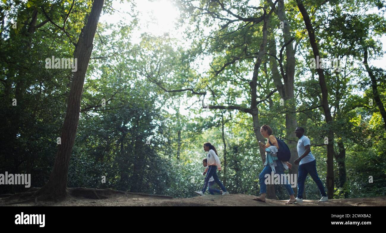 Familienwanderung in sonnigen Sommerwäldern Stockfoto