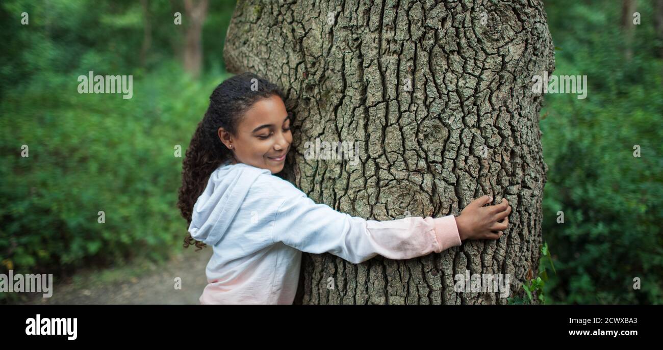 Serene Mädchen umarmt Baumstamm in Wäldern Stockfoto