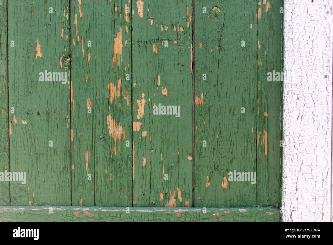 Dunkelgrün zerkratzte Grunge Holz strukturierte Wand. Alte Holzstruktur mit abblätternder Farbe. Stockfoto