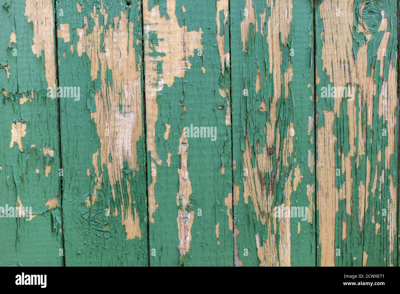 Dunkelgrün zerkratzte Grunge Holz strukturierte Wand. Alte Holzstruktur mit abblätternder Farbe. Stockfoto