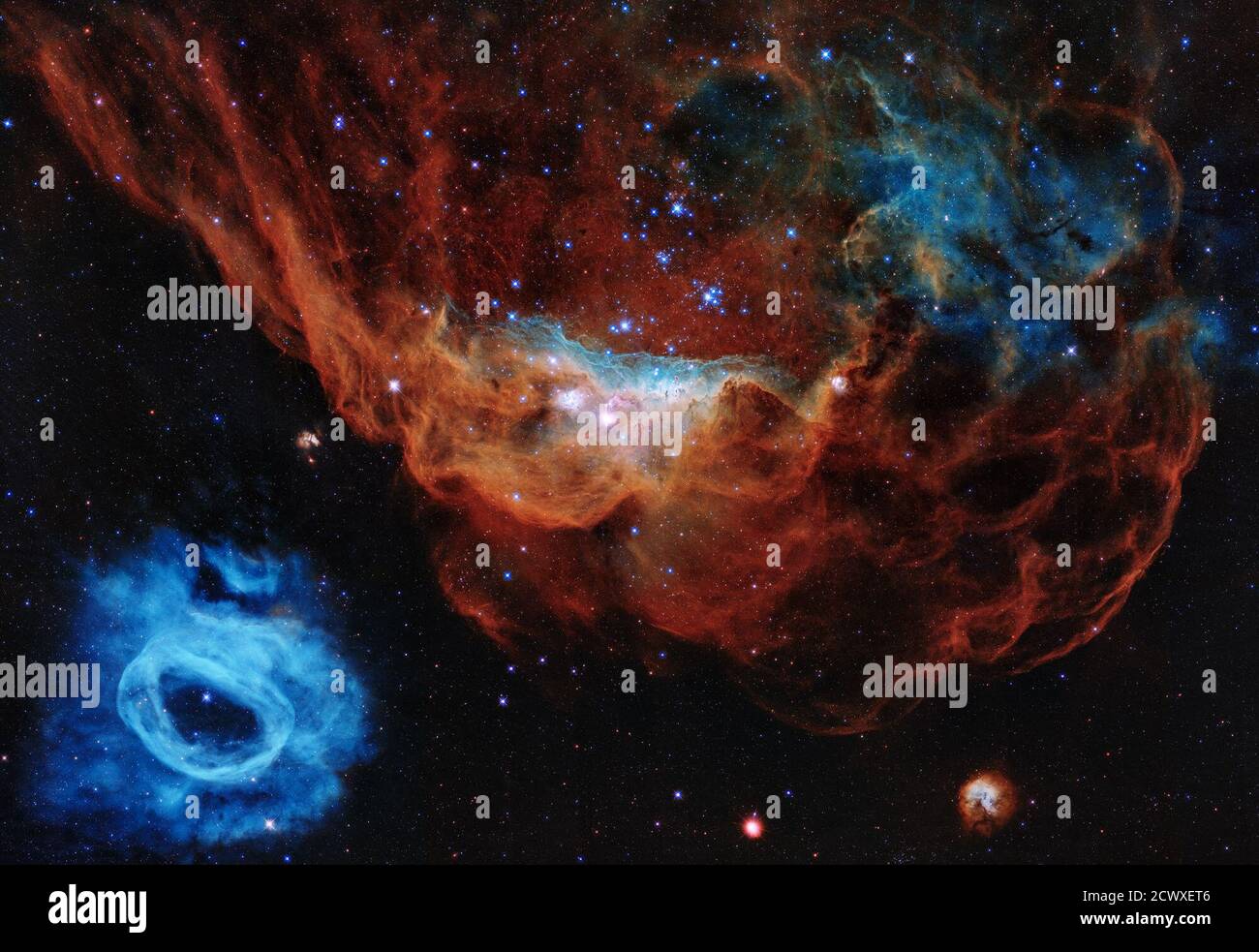 Hubble enthüllt einen Tapestry von Blazing Starbirth Dieses Hubble-Bild zeigt, wie junge, energische, massive Sterne ihren Geburtsort mit starken Winden und sender ultravioletten Strahlung erleuchten und Formen. In diesem Hubble-Porträt sind der riesige rote Nebel (NGC 2014) und sein kleiner blauer Nachbar (NGC 2020) Teil einer riesigen Sternentstehungsregion in der Großen Magellanischen Wolke, einer 163,000 Lichtjahre entfernten Satellitengalaxie der Milchstraße. Das Bild trägt den Spitznamen „Cosmic Reef“, weil es einer Unterwasserwelt ähnelt. Das funkelnde Herzstück von NGC 2014 ist eine Gruppe von hellen, kräftigen Sternen, Stockfoto