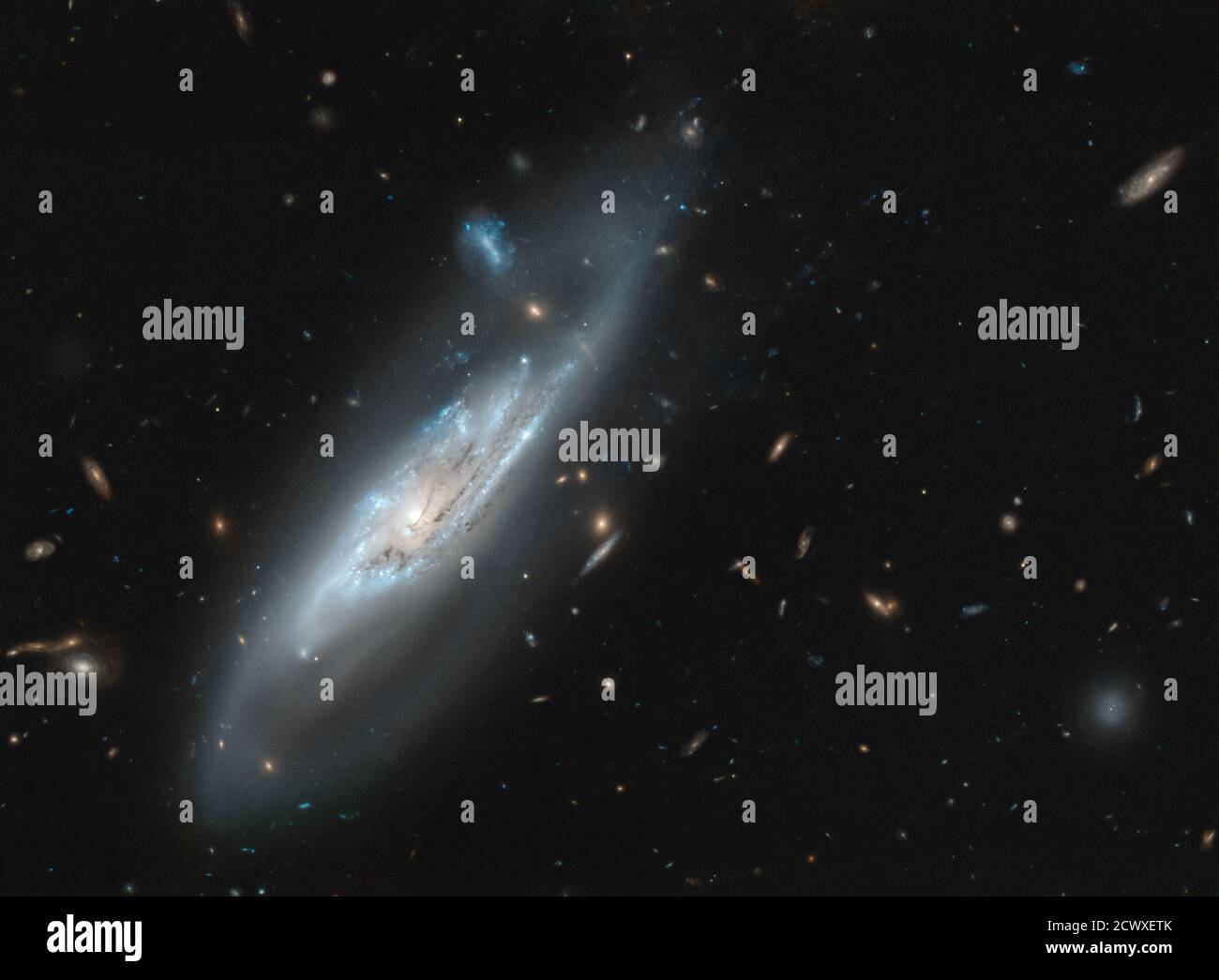 Geistergalaxie NGC 4848 EIN bemerkenswertes Merkmal der meisten Spiralgalaxien ist die Vielzahl von gebogenen Spiralarmen, die sich scheinbar aus dem Zentrum der Galaxie ausspinnen. In diesem Bild, aufgenommen mit dem NASA/ESA Hubble Space Telescope, werden die atemberaubenden silbrig-blauen Spiralarme der Galaxie NGC 4848 in immenser Detailtiefe beobachtet. Wir sehen nicht nur den inneren Teil der Spiralarme mit hunderttausenden von jungen, hellen, blauen Sternen, sondern Hubble hat auch die extrem schwachen, wispy Schwänze der äußeren Spiralarme eingefangen. Im Hintergrund erscheinen Myriaden weiter entfernter und herrlich diverser Galaxien. Stockfoto