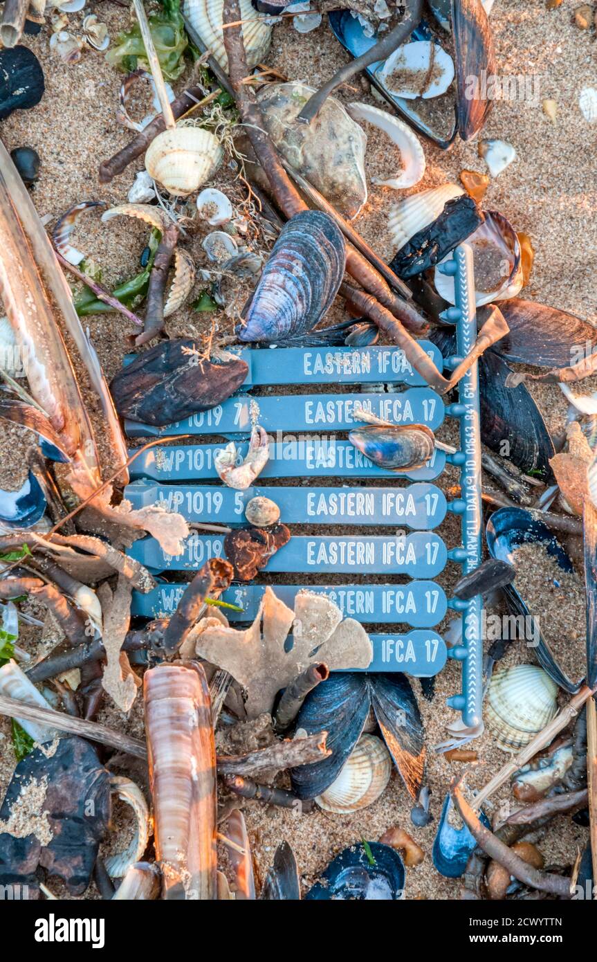 Plastikmüll von Eastern Inshore Fisheries & Conservation Authority wurde auf der Hochwassertideline am Ufer der Wash, Norfolk, aufgespült. Stockfoto