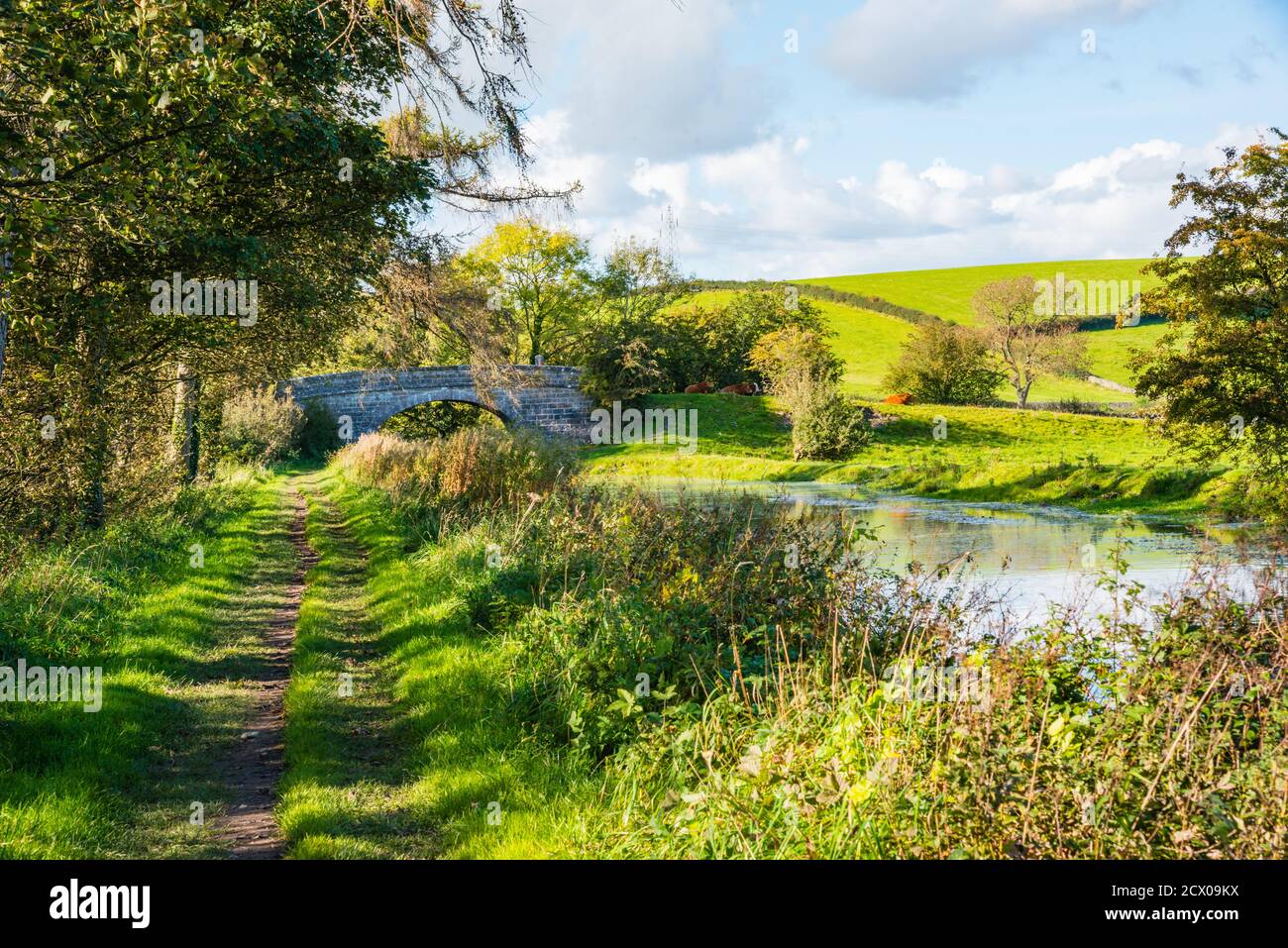 Blick auf die englische ländliche Landschaft auf dem britischen Wasserweg Stockfoto