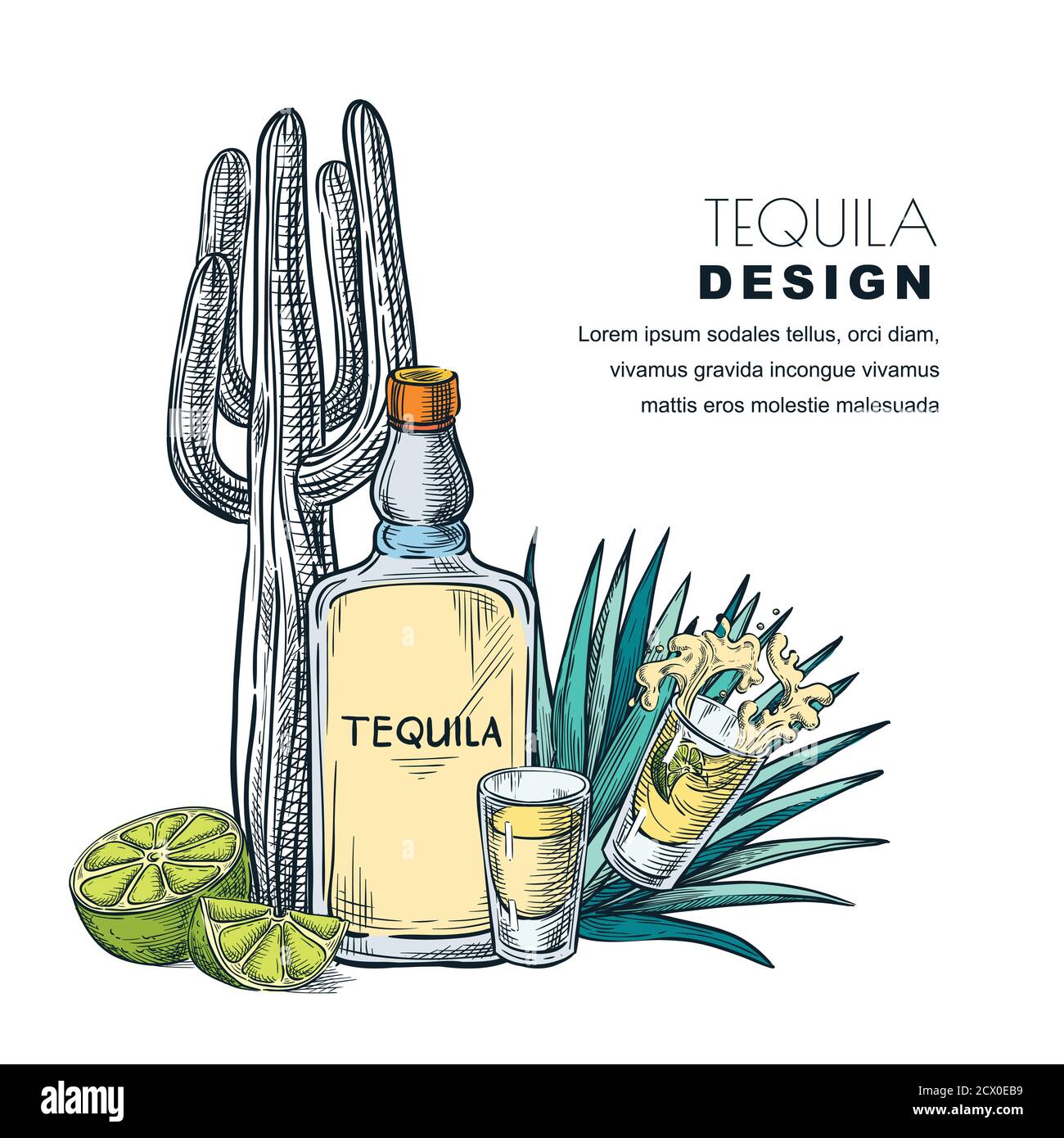 Tequila Skizzenvektor Illustration. Bar-Menü, Etikett oder Verpackung Design. Flasche, Schnapsglas, Kaktus, Agave isoliert auf weißem Hintergrund. Stock Vektor
