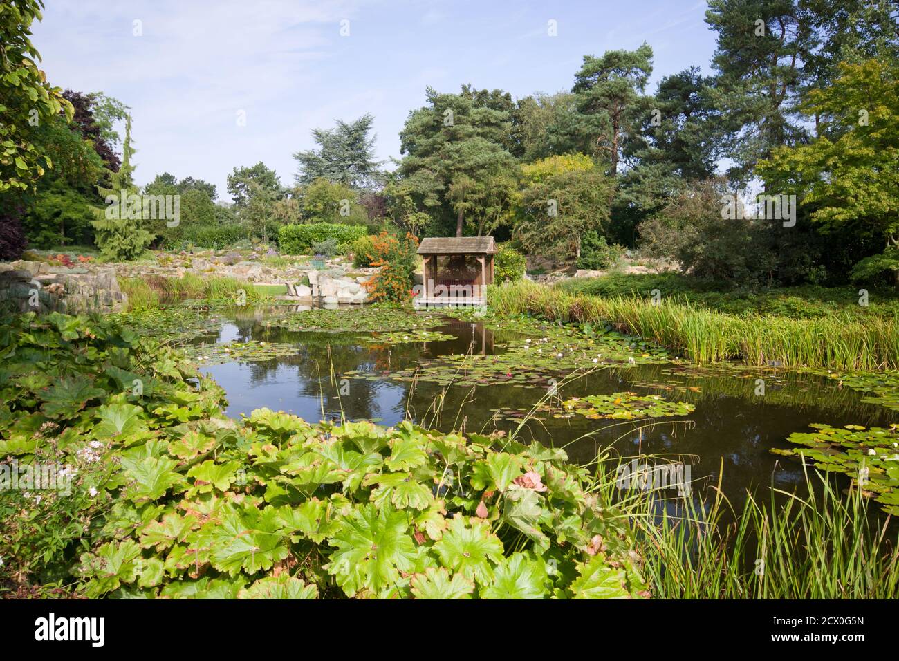 Der untere See bei Burnby Hall Gardens, Pocklington, East Yorkshire Stockfoto