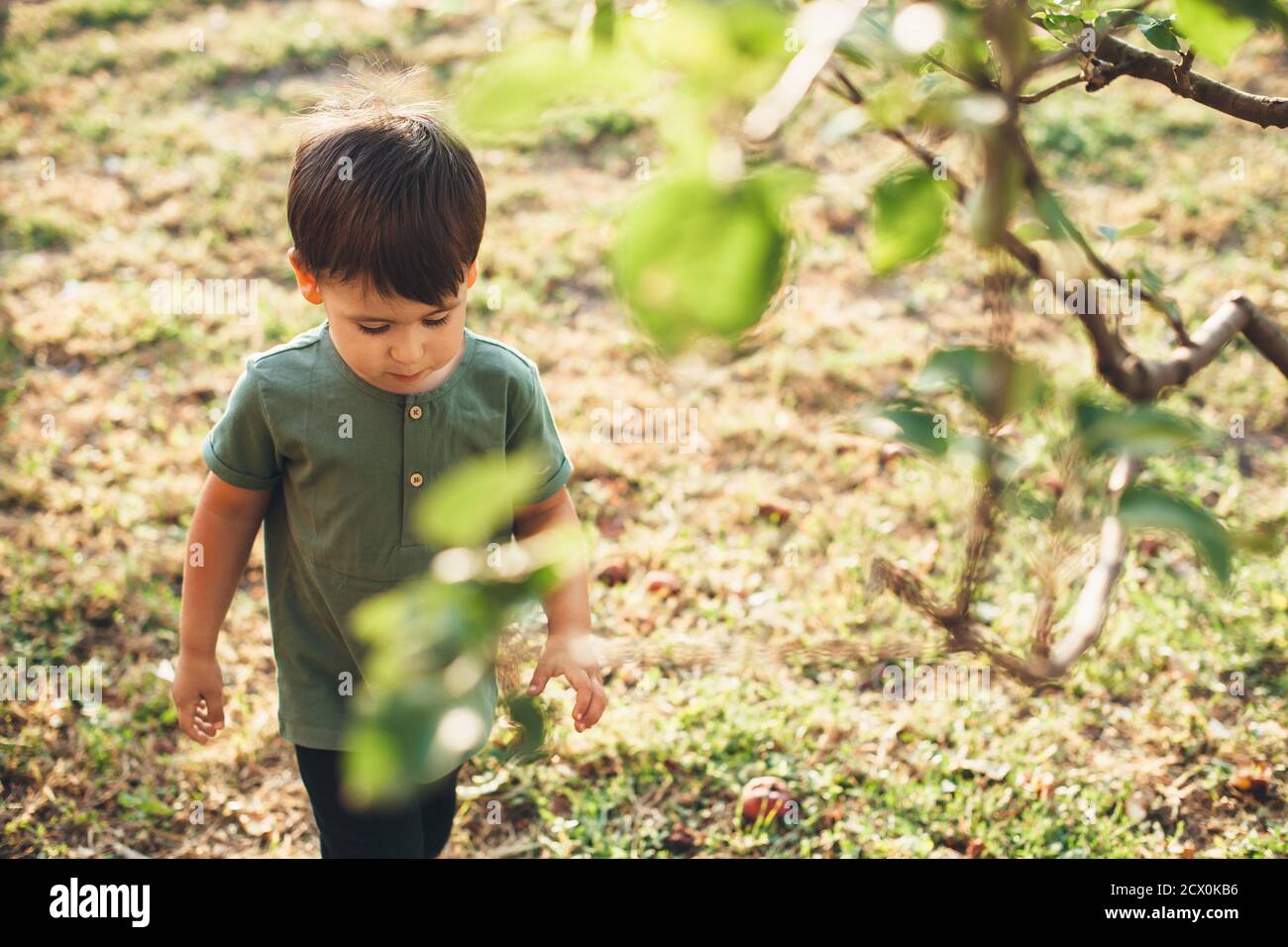 Kaukasischer Junge, der durch Bäume in einem Feld mit einem Grünes T-Shirt an einem warmen Sommerabend Stockfoto